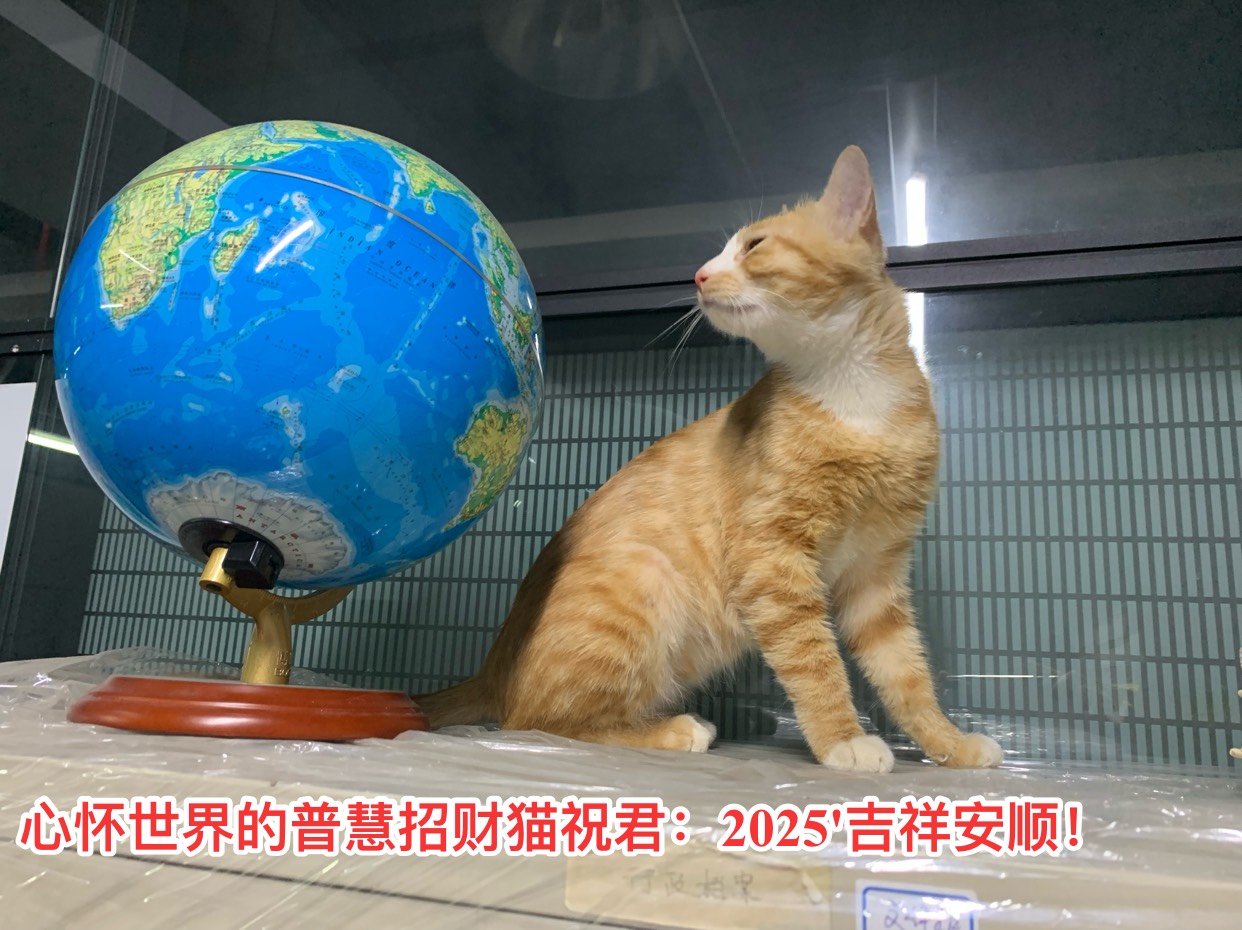 2025新年3.jpg